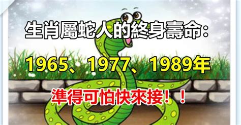 1989屬|1989年的屬蛇人是什麼命？什麼年齡開始享福？特別。